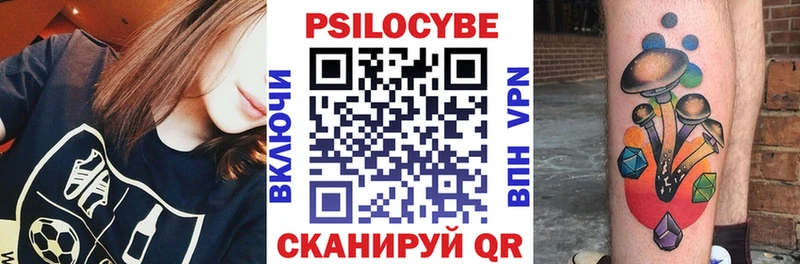Галлюциногенные грибы Psilocybine cubensis  гидра как войти  Заволжск  где найти наркотики 